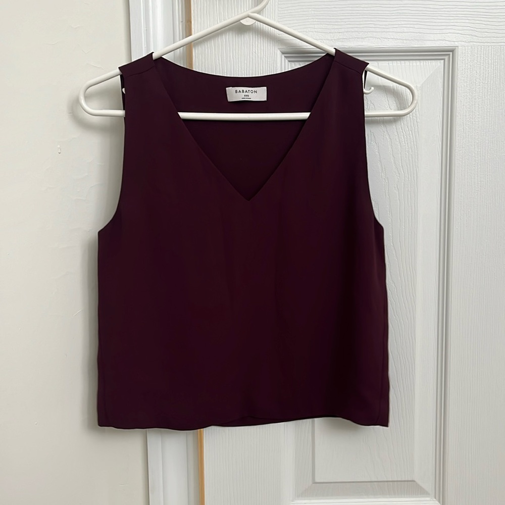 Aritzia Murphy Blouse